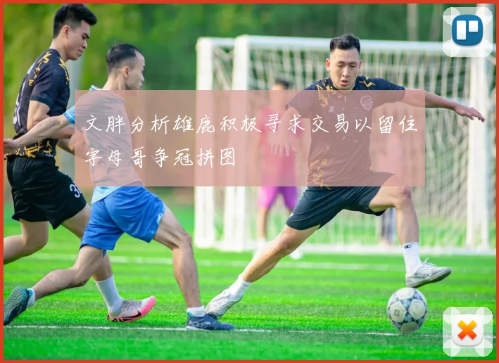 文胖分析雄鹿积极寻求交易以留住字母哥争冠拼图