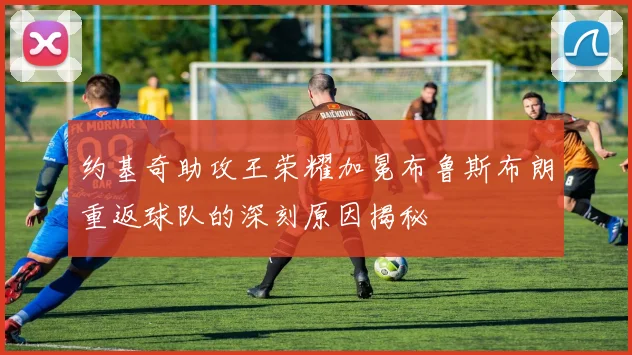 约基奇助攻王荣耀加冕布鲁斯布朗重返球队的深刻原因揭秘