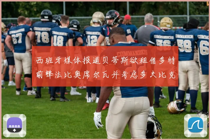 西班牙媒体报道贝蒂斯欲租借多特前锋法比奥席尔瓦并考虑多夫比克