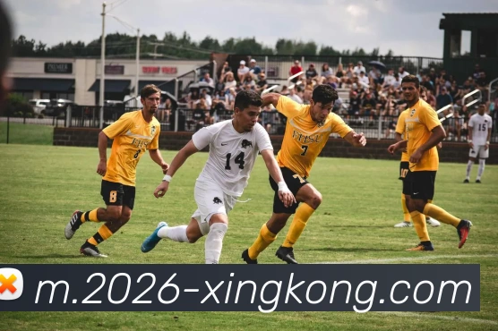 星空体育平台生态图