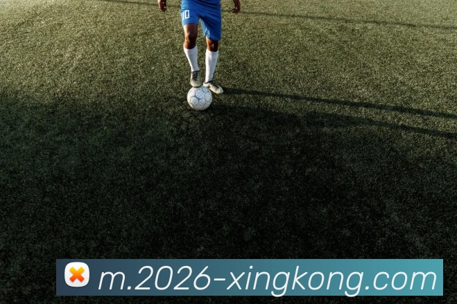 星空体育APP 封面图